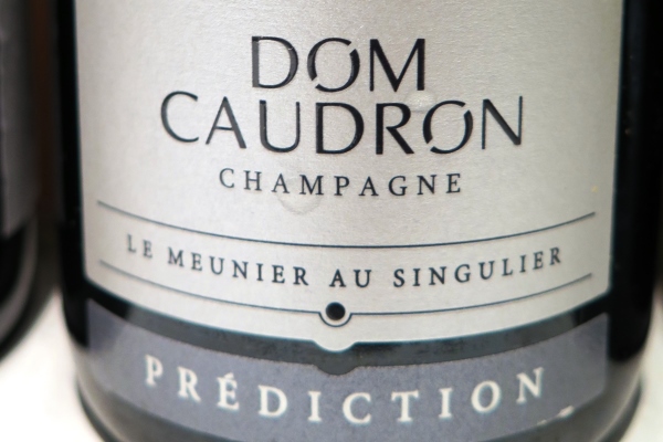 Dom Caudron - Prediction